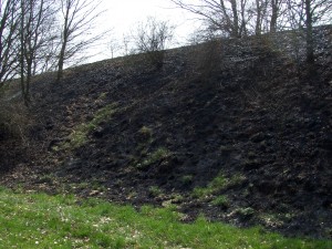 2013-04-24 Einsatz Mittelbrand (4)