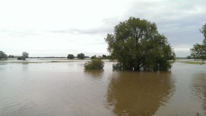 2013-06 Hochwasser (1)